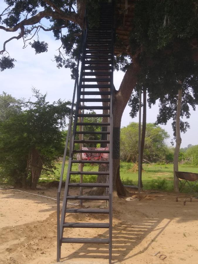 מלון Yala Dream Park מראה חיצוני תמונה