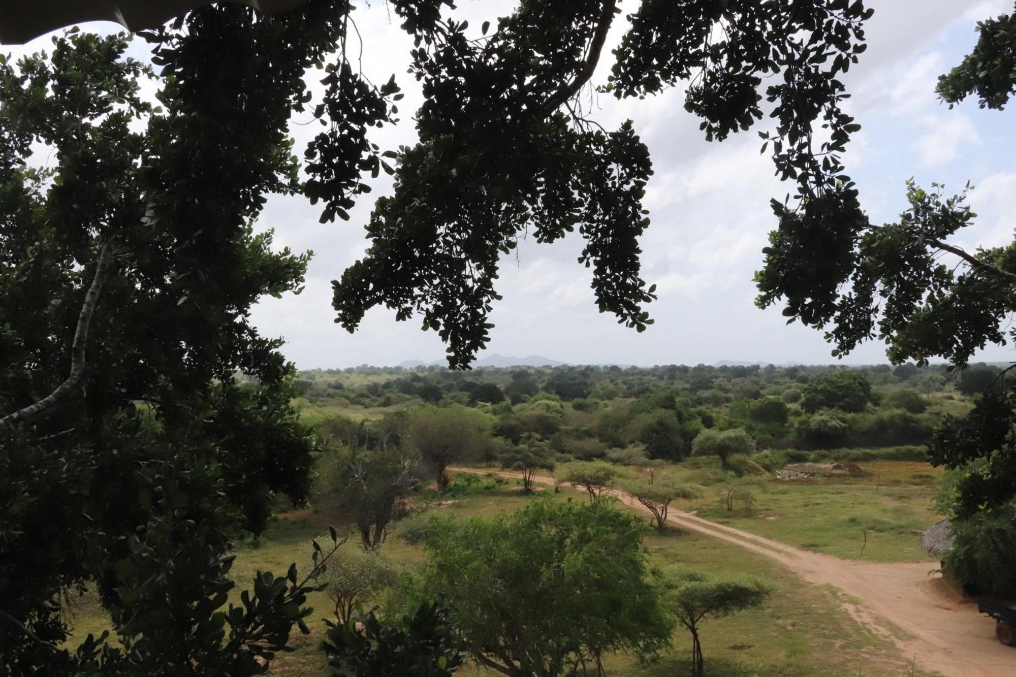 מלון Yala Dream Park מראה חיצוני תמונה