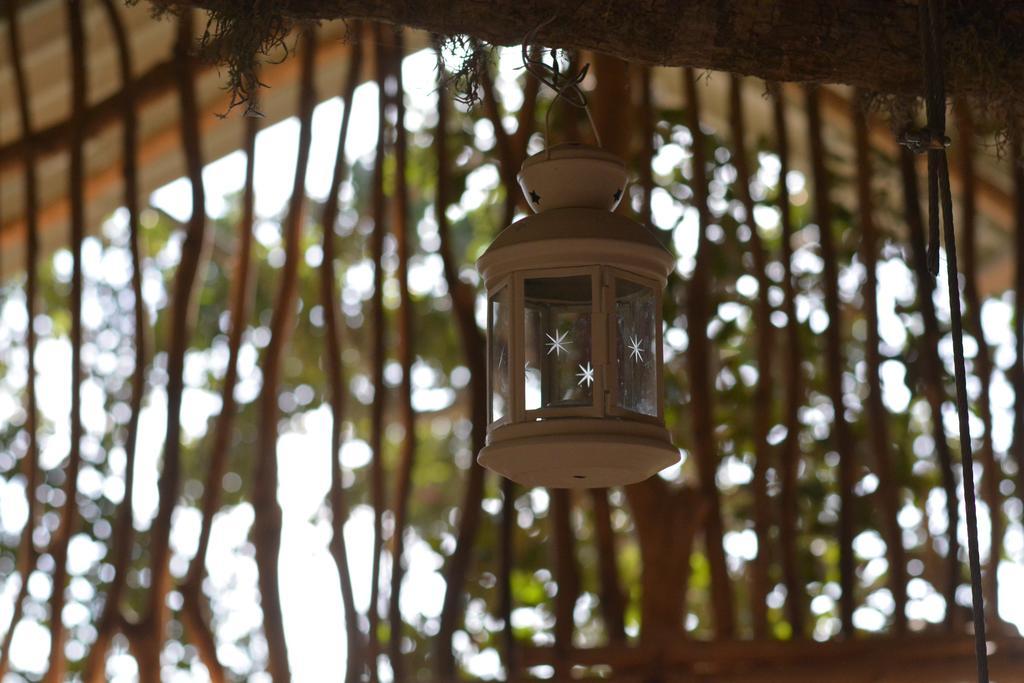 מלון Yala Dream Park מראה חיצוני תמונה