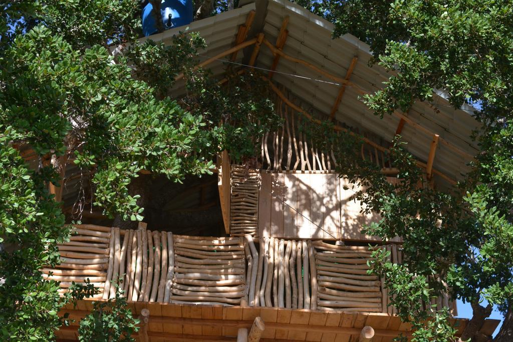 מלון Yala Dream Park מראה חיצוני תמונה