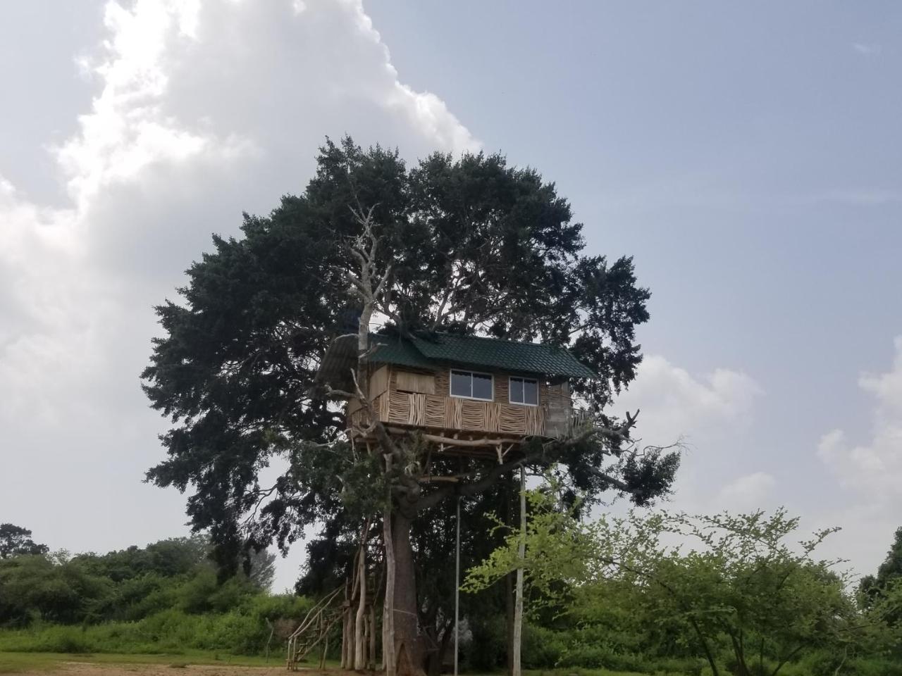 מלון Yala Dream Park מראה חיצוני תמונה
